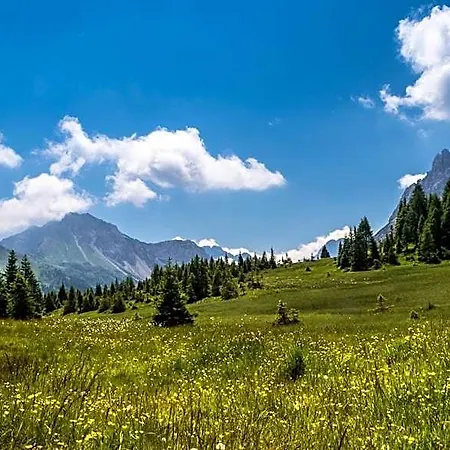 Residence Cavanis Wellness & Spa 4* Sappada