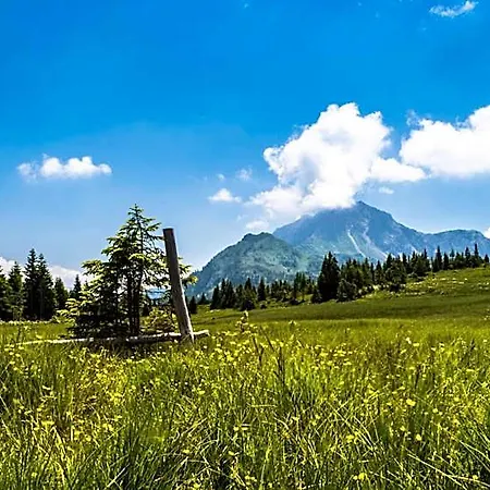 Residence Cavanis Wellness & Spa 4* Sappada