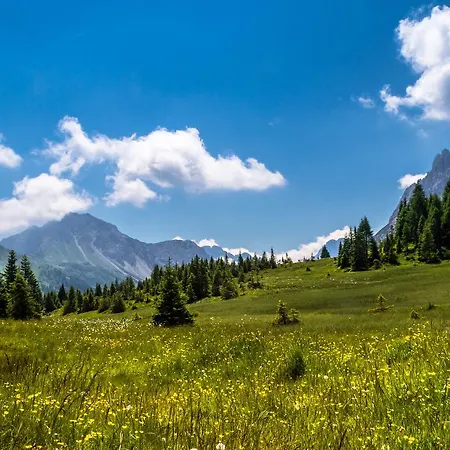 Residence Cavanis Wellness & Spa * Sappada