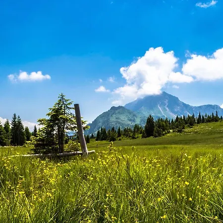 Cavanis Wellness & Sappada